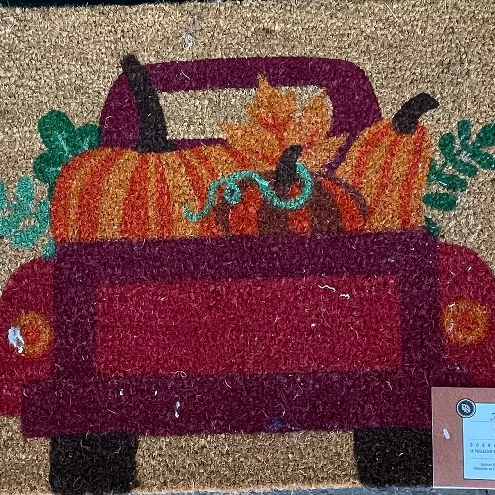 Nourison COIR new nourison